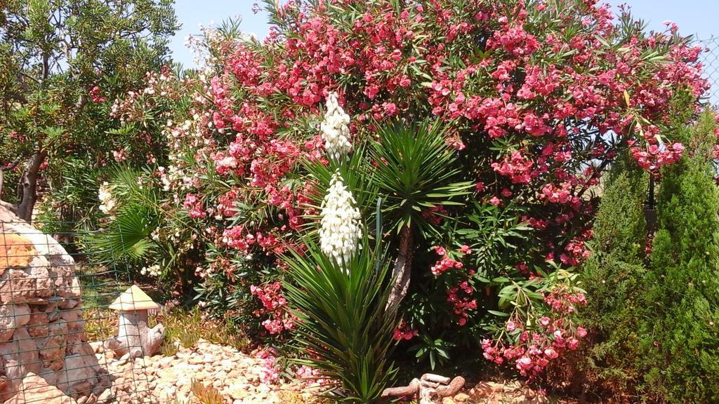 Chalet Atalants Yailja Alcossebre エクステリア 写真